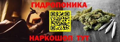 ГАЛЛЮЦИНОГЕННЫЕ ГРИБЫ Тверь