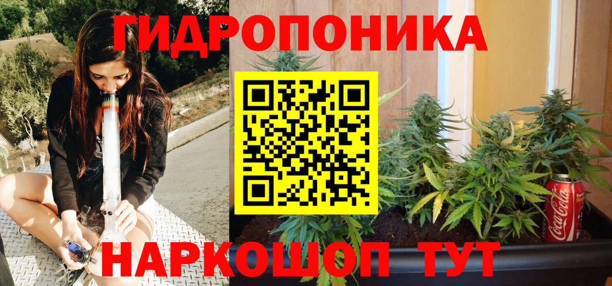 Шишки марихуана тримм  Вход с VPN  Конопля тримм  Нижний Новгород 